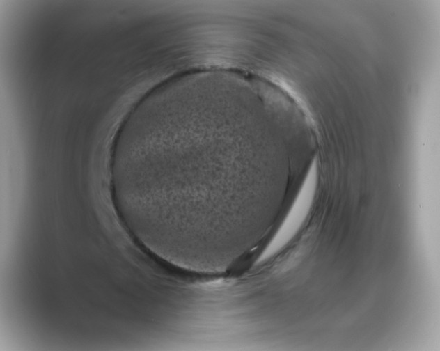 X0000089750673200707051815