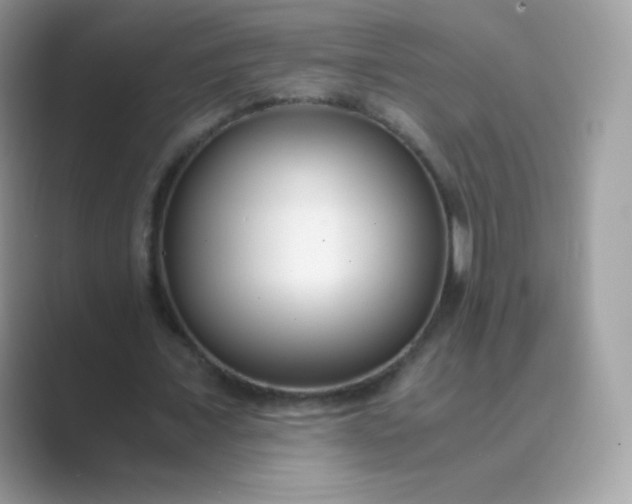 X0000089750675200707051815