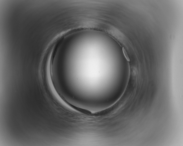 X0000089750676200707051815