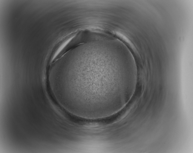 X0000089750677200707051815