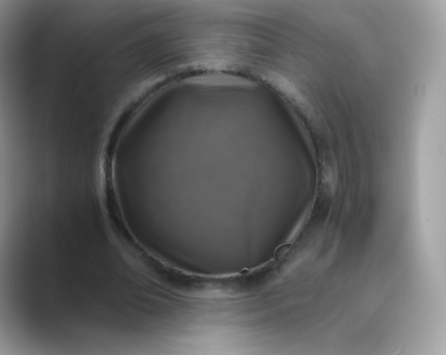 X0000089750678200707051815