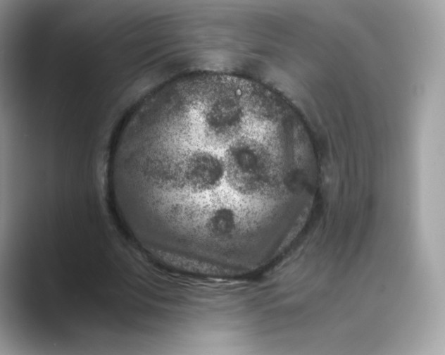 X0000089750679200707051815