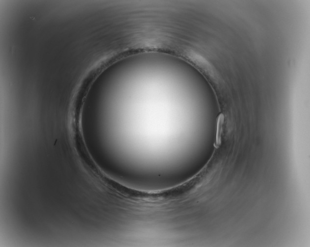 X0000089750680200707051815