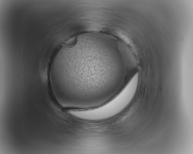 X0000089750681200707051815