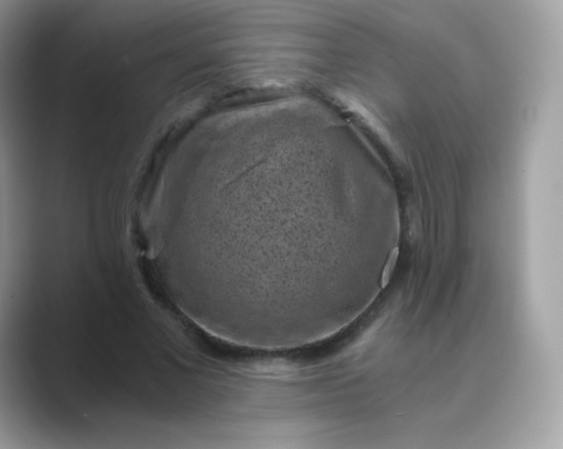 X0000089750685200707051815