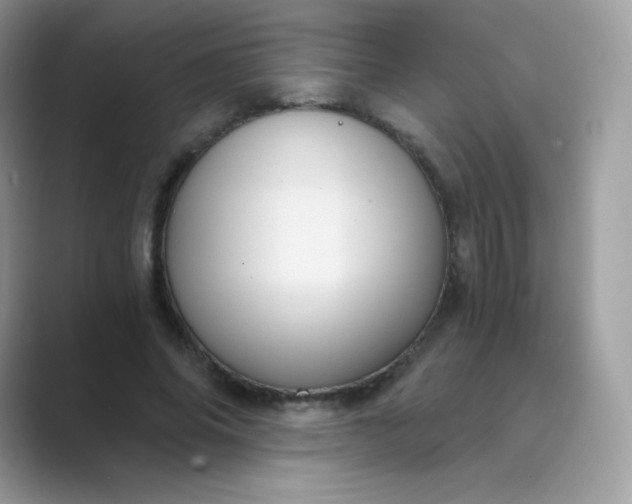 X0000089750686200707051815