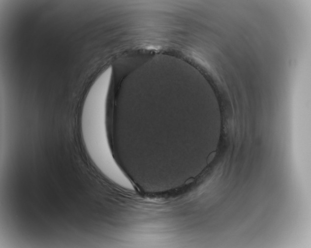 X0000089750689200707051815