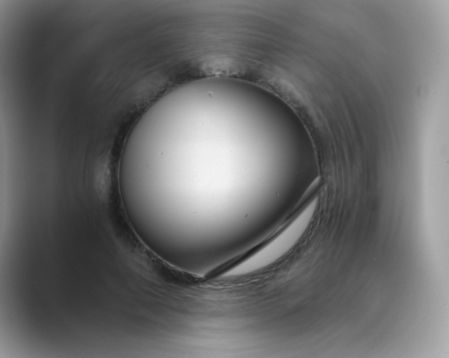 X0000089750690200707051815