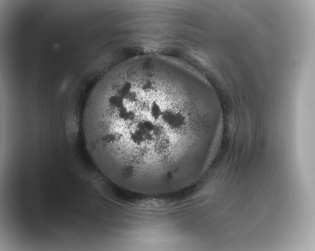 X0000089750691200707051815