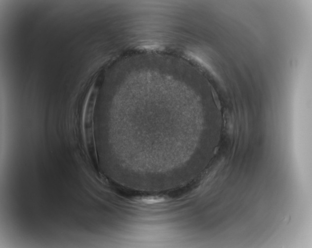 X0000089750692200707051815