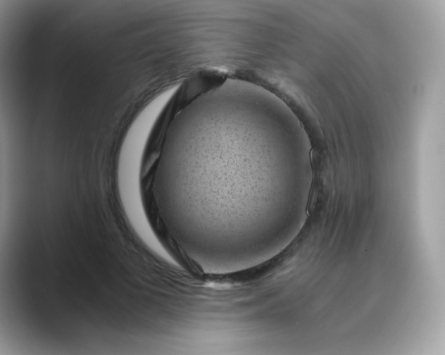 X0000089750693200707051815