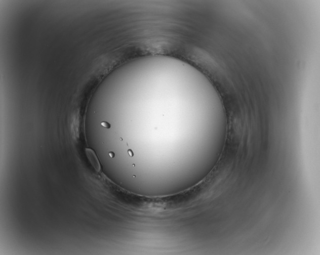 X0000089750694200707051815