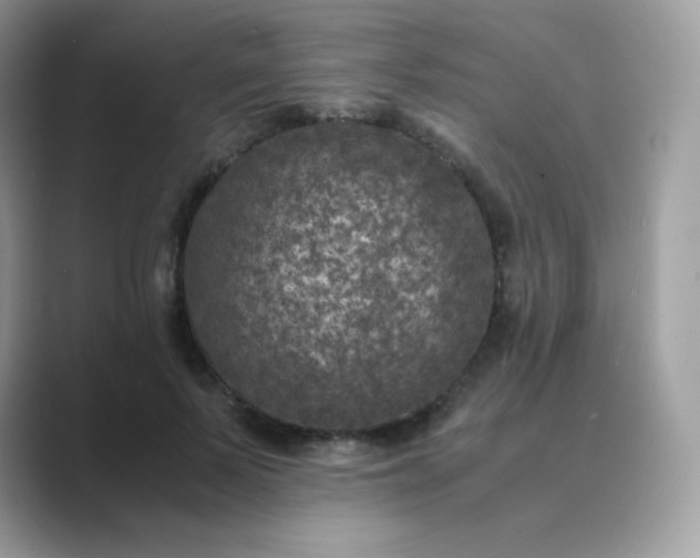 X0000089750695200707051815