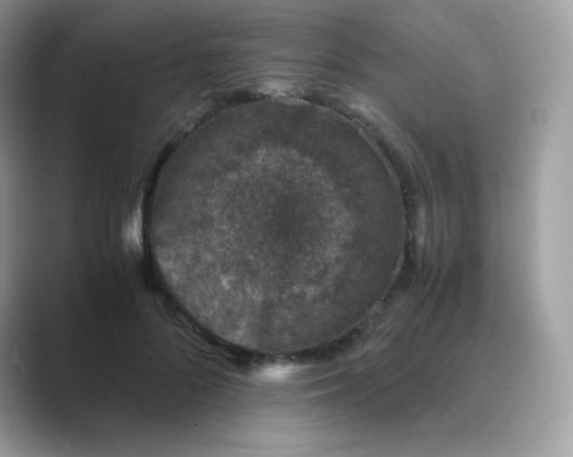 X0000089750696200707051815