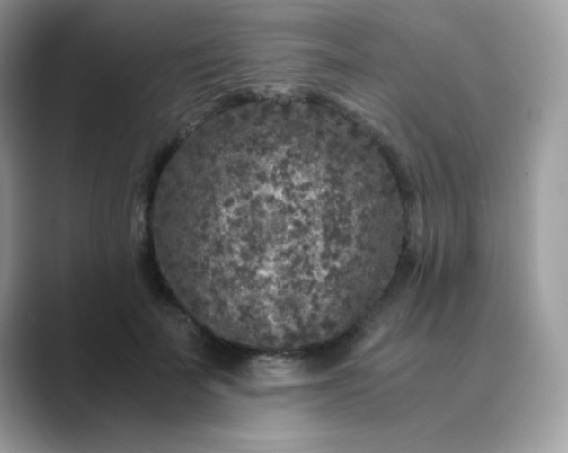 X0000089750699200707051815