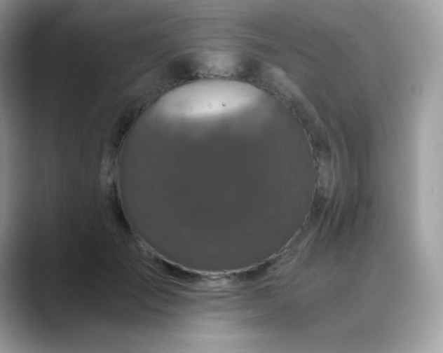 X0000089750701200707051815