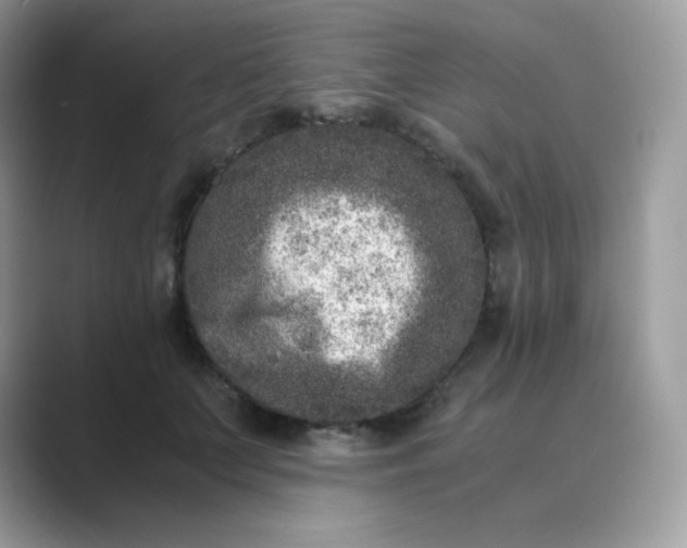 X0000089750703200707051815