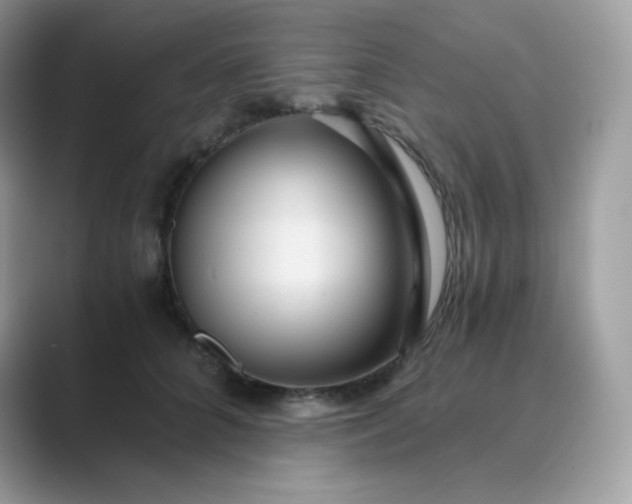 X0000089750704200707051815