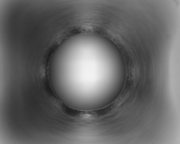 X0000089750706200707051815