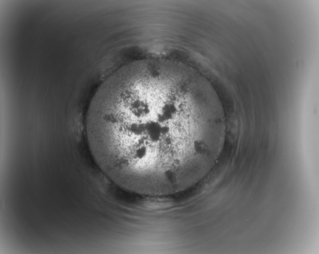 X0000089750707200707051815