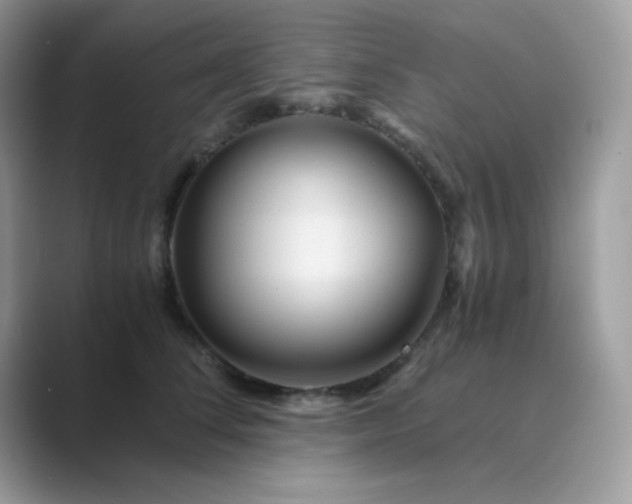 X0000089750708200707051815