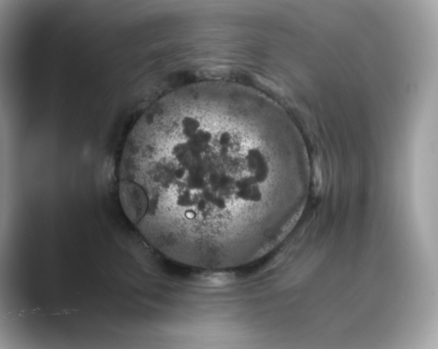 X0000089750711200707051815