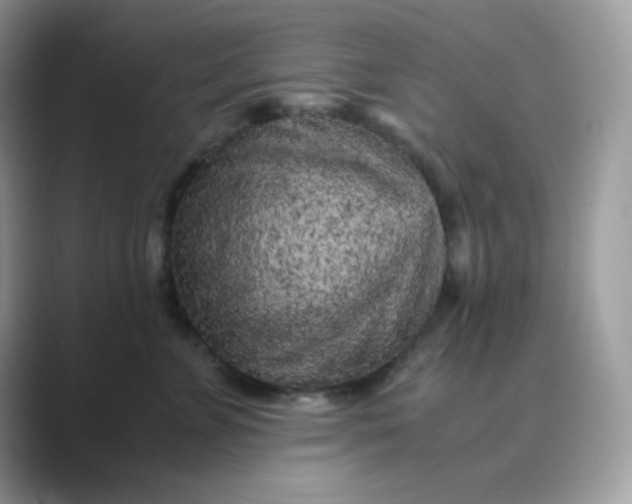 X0000089750715200707051815