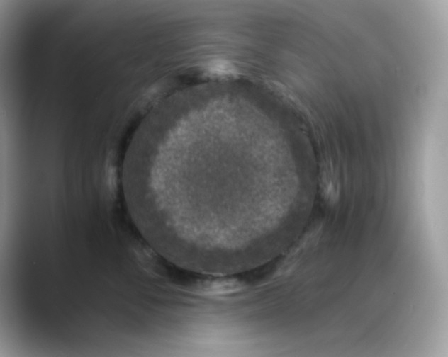 X0000089750716200707051815