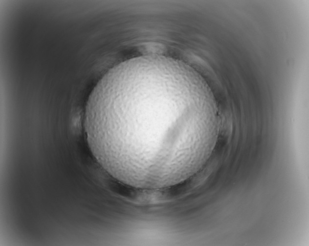 X0000089750717200707051815