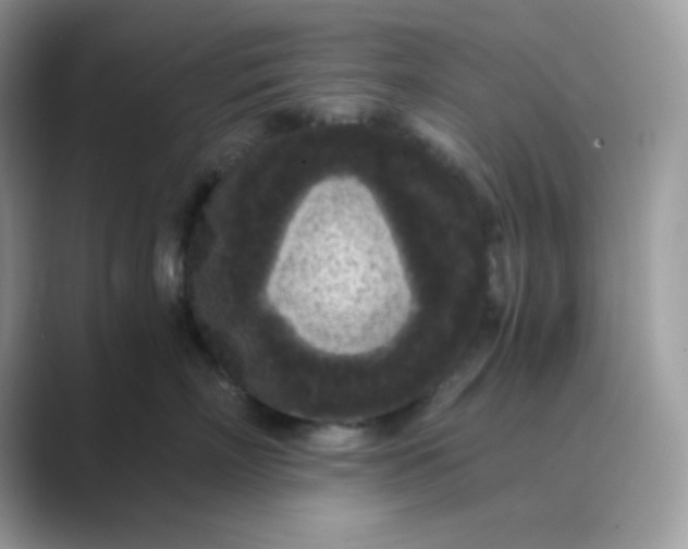 X0000089750718200707051815