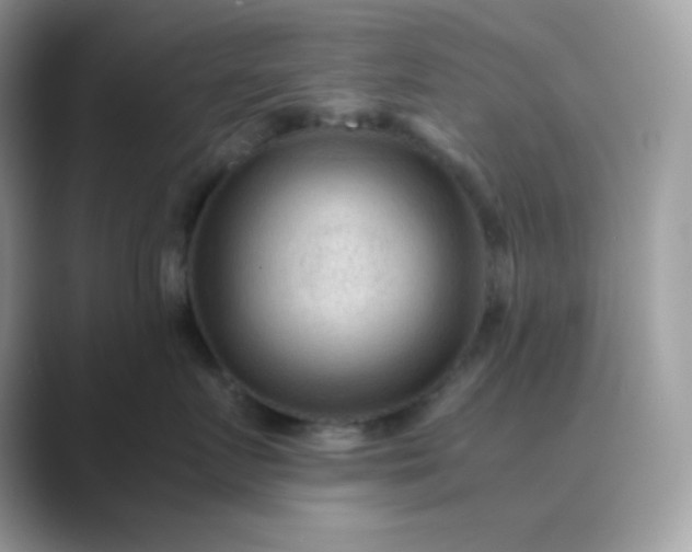 X0000089750719200707051815