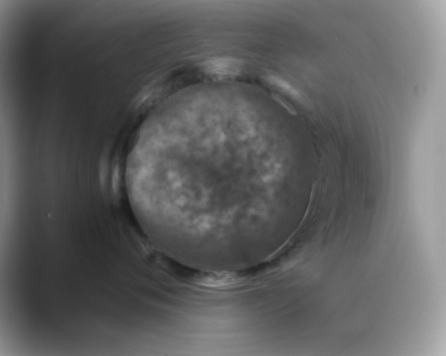 X0000089750720200707051815