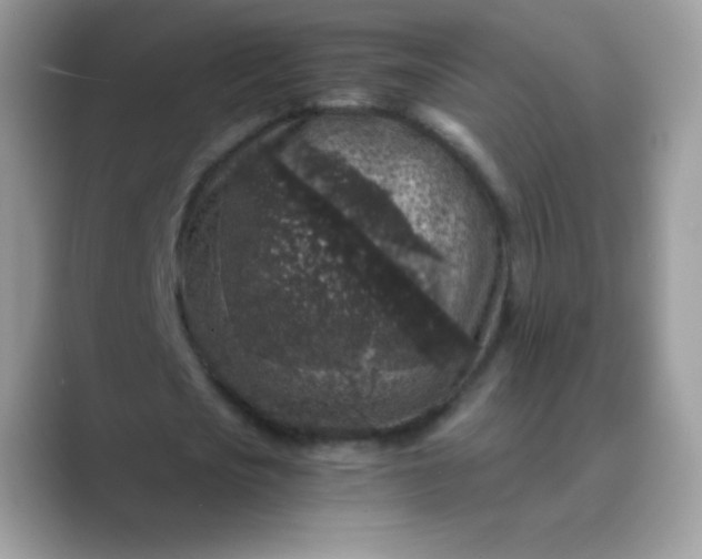 X0000089750721200707051814