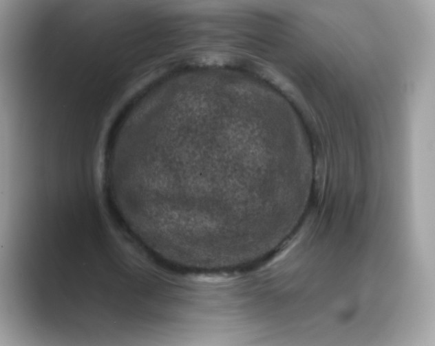 X0000089750722200707051814