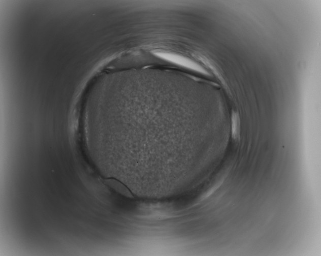 X0000089750723200707051814