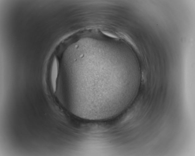 X0000089750724200707051814