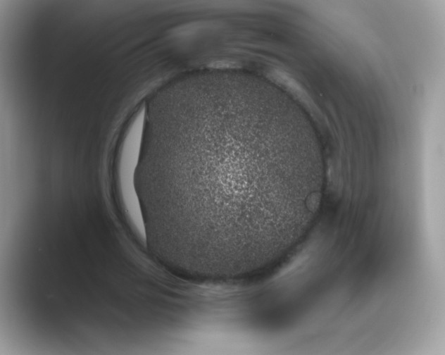 X0000089750725200707051814