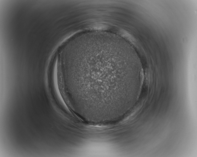 X0000089750726200707051814