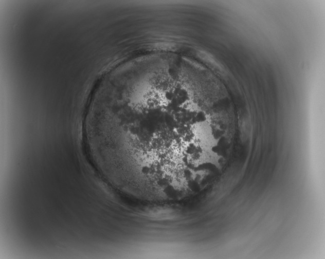 X0000089750729200707051814