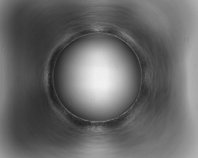 X0000089750730200707051814