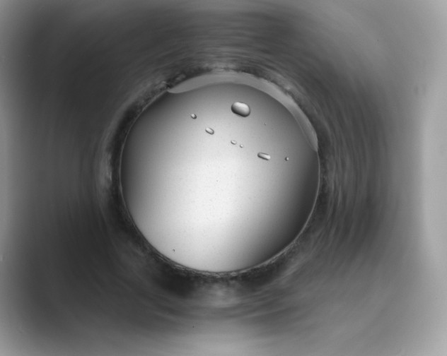 X0000089750731200707051814