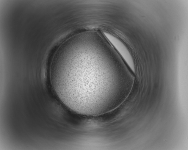 X0000089750732200707051814