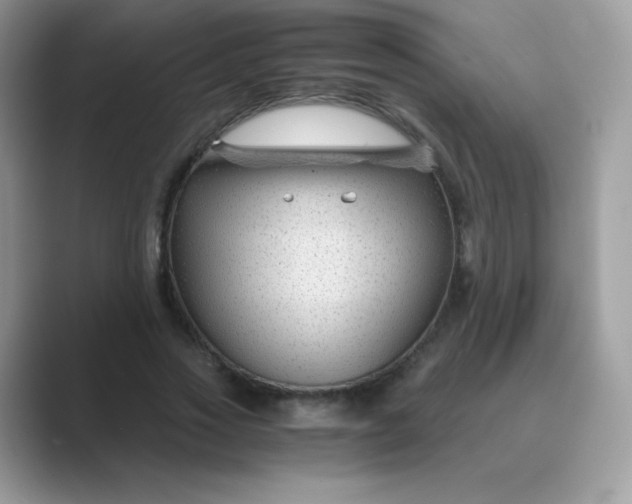 X0000089750733200707051814