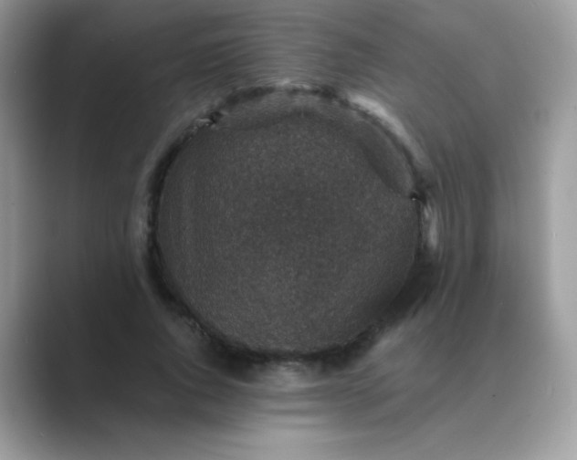 X0000089750736200707051815