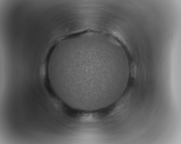 X0000089750740200707051815