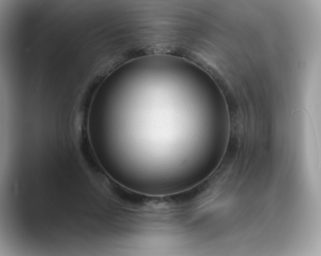 X0000089750742200707051815