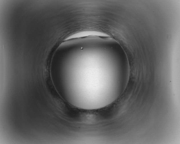 X0000089750743200707051815