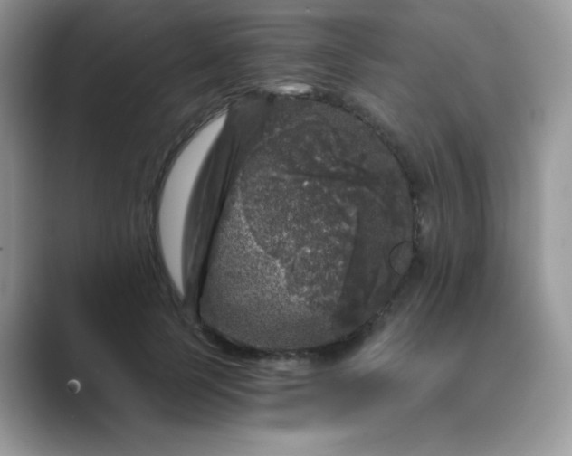 X0000089750745200707051815