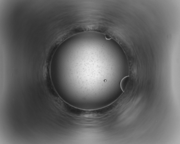 X0000089750746200707051815