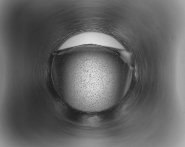 X0000089750747200707051815